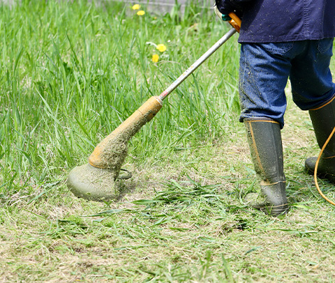 草の伐採のこだわり
