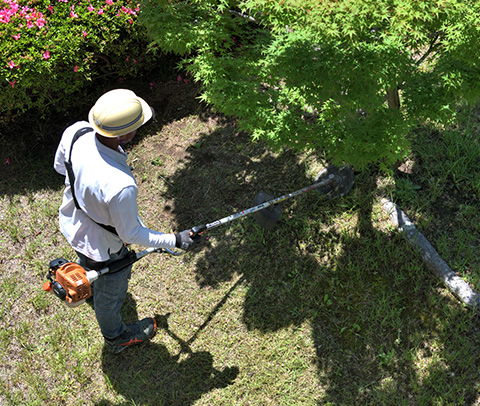 草の伐採のこだわり