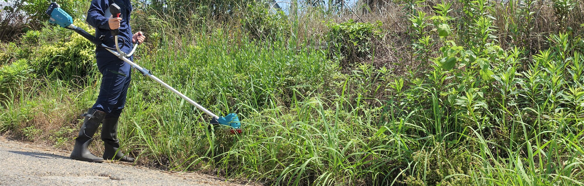 キービジュアル